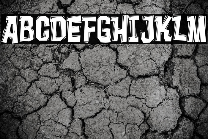 Vademecum-Regular Example 2