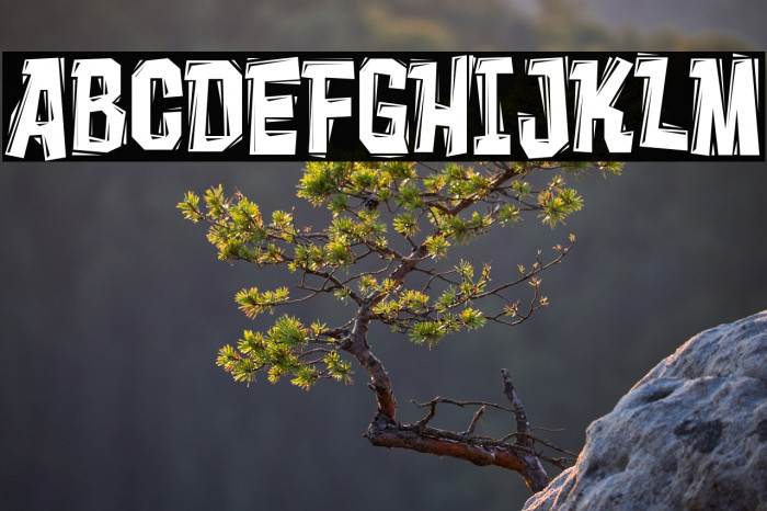 Vademecum-Regular Example 3