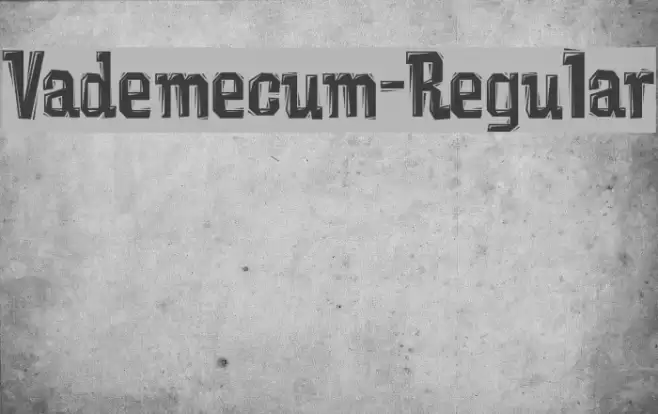 Vademecum-Regular Font examples