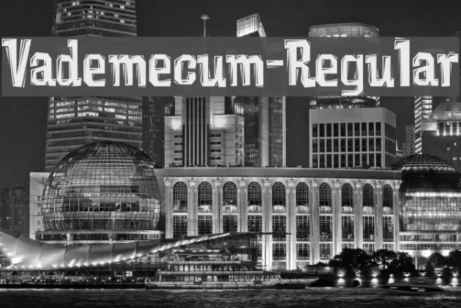 Vademecum-Regular Font examples