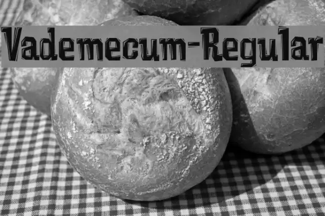 Vademecum-Regular Font examples