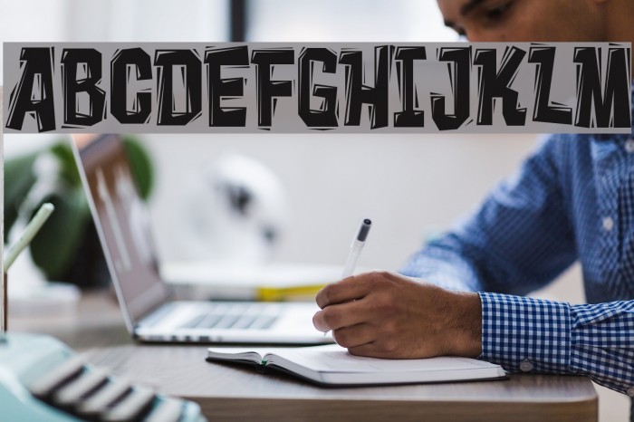 Vademecum Font examples