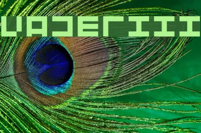 Vaderiii Example 3