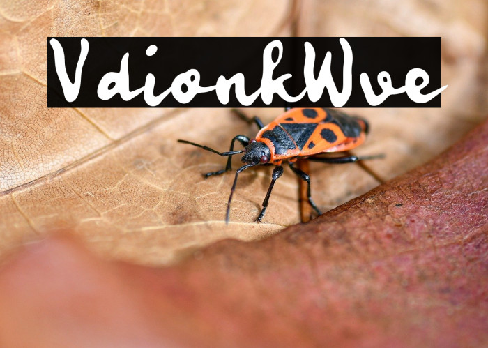 Vadionka Wave Example 1