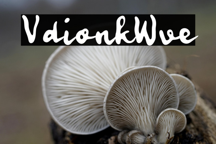 Vadionka Wave Example 3