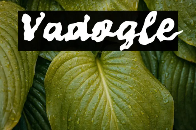 Vadogle Example 2