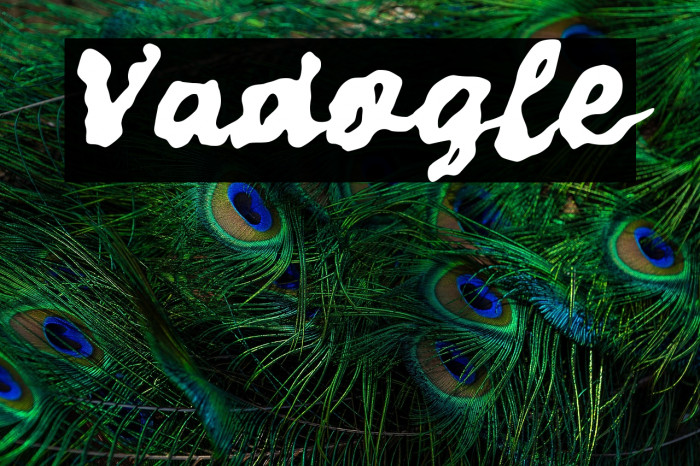 Vadogle Example 3