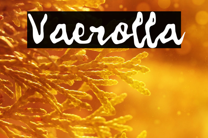 Vaerolla Example 1