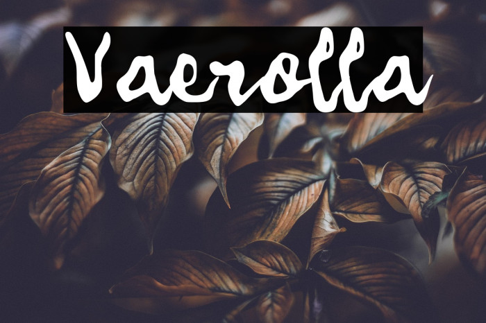 Vaerolla Example 2