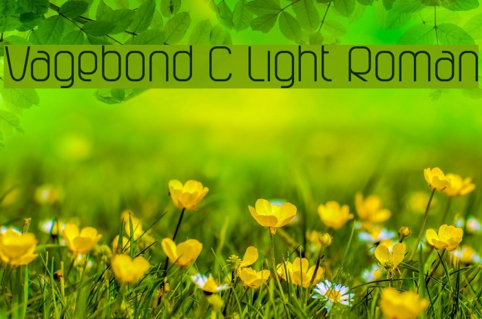 Vagebond C Light Roman Font examples