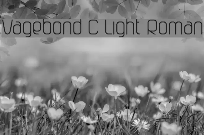 Vagebond C Light Roman Font examples