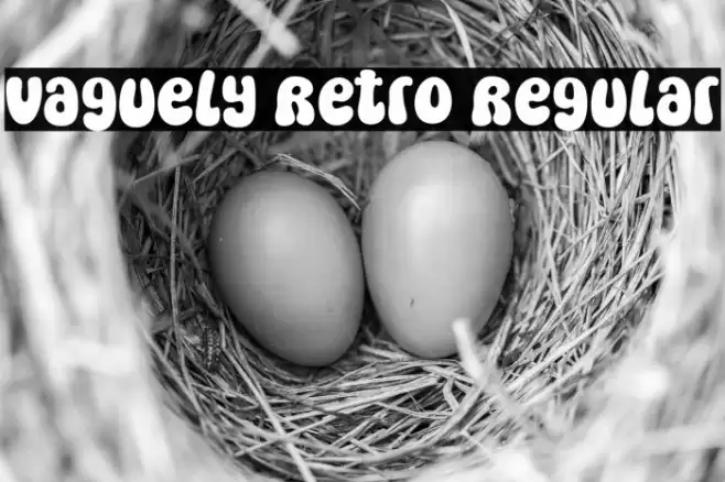 Vaguely Retro Regular Font examples