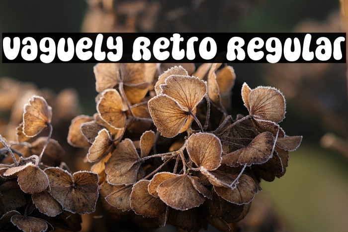 Vaguely Retro Regular Example 2