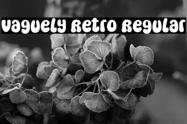 Vaguely Retro Regular Font examples