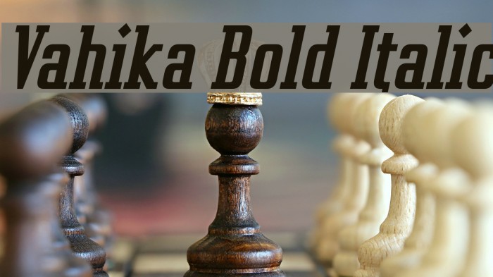 Vahika Bold Italic Font examples