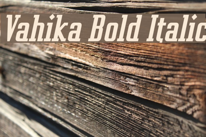 Vahika Bold Italic Font examples