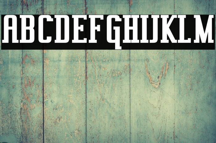 Vahika-Bold Example 2