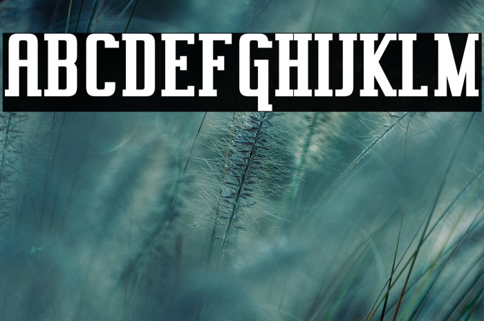 Vahika-Bold Example 3