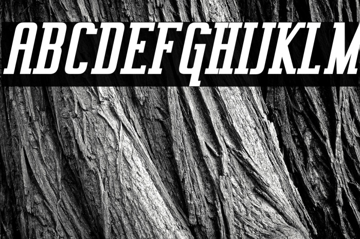 Vahika-BoldItalic Example 1