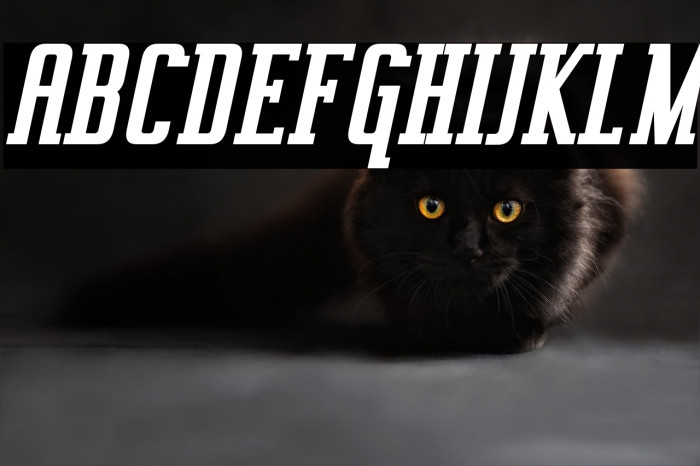 Vahika-BoldItalic Example 2