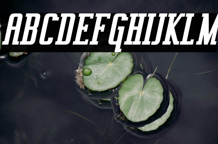 Vahika-BoldItalic Example 3