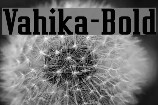 Vahika-Bold Font examples