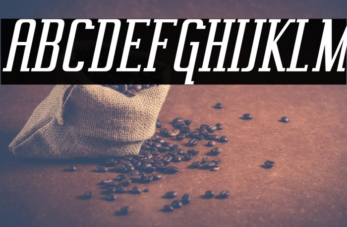 Vahika-Italic Example 2