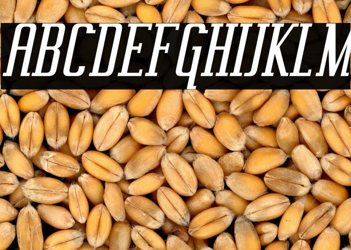 Vahika-Italic Example 3