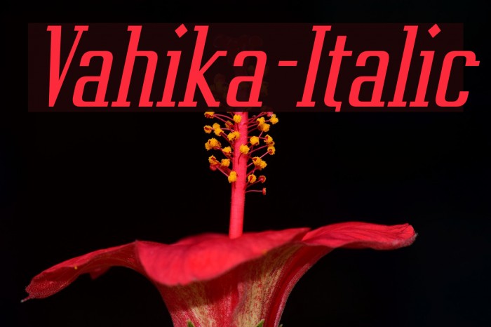 Vahika-Italic Font examples