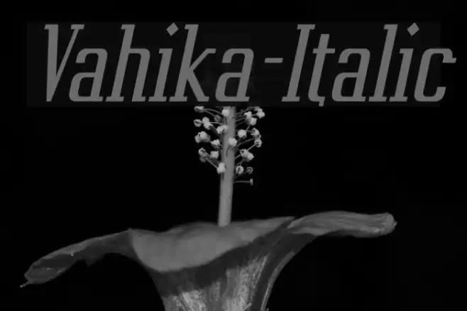 Vahika-Italic Caratteri examples