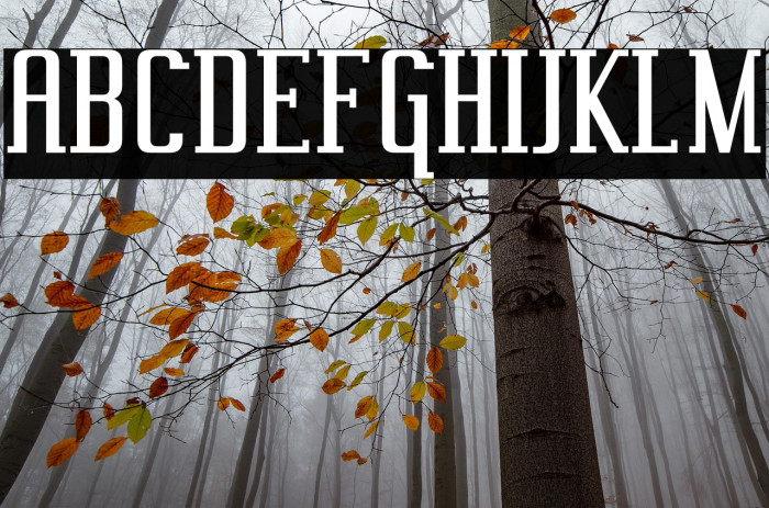 Vahika-Regular Example 1