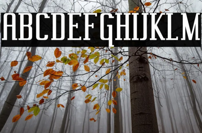 Vahika-Regular Example 1