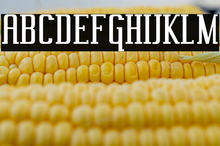 Vahika-Regular Example 3