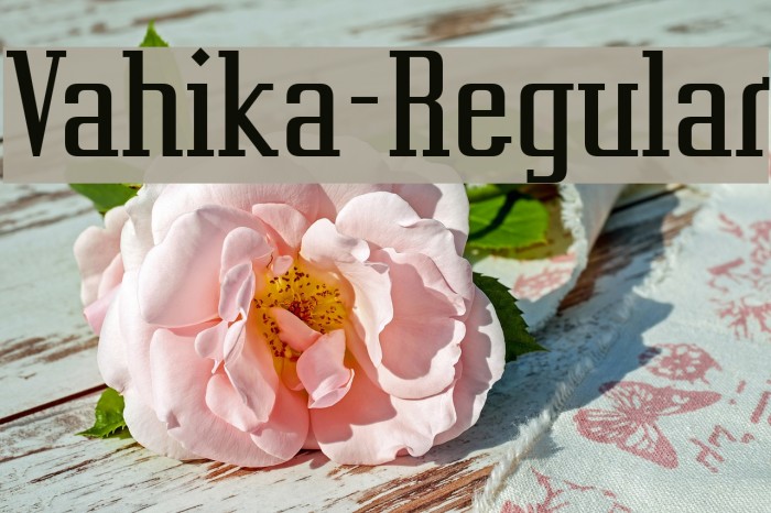 Vahika-Regular Example 3