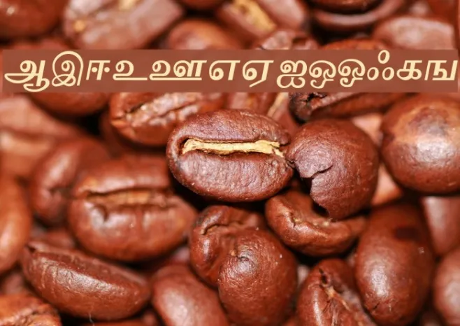 VaigaiAA Example 2