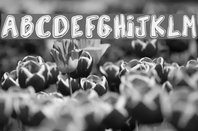 Vaille Font examples