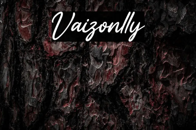 Vaizonlly Example 3