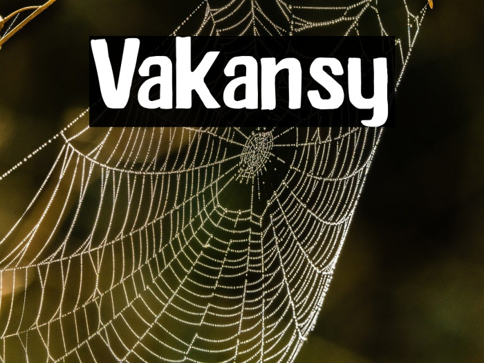 Vakansy Example 1