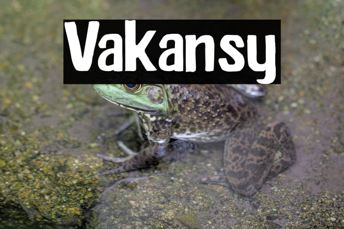Vakansy Example 2