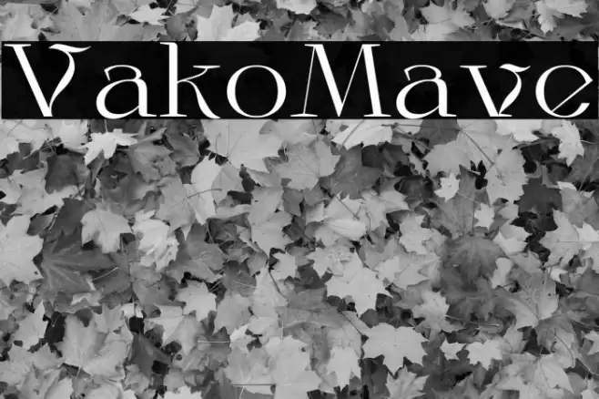 VakoMave Font examples