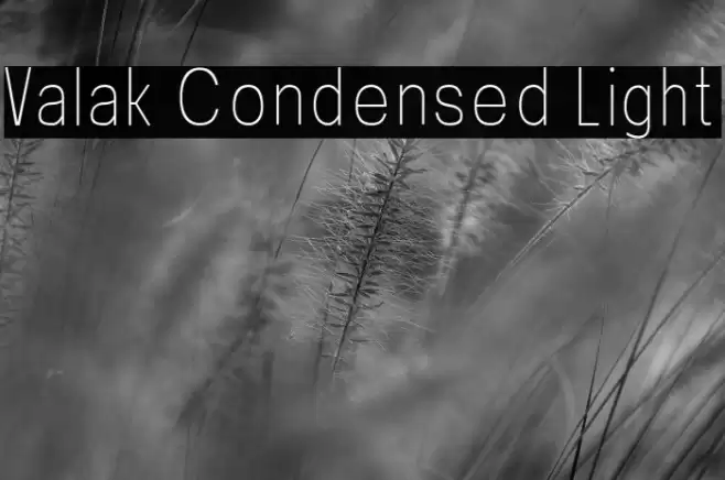 Valak Condensed Light Font examples