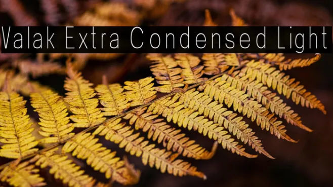 Valak Extra Condensed Light Example 1