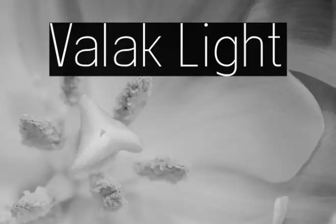 Valak Light Font examples