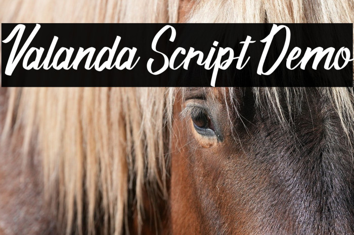 Valanda Script [Demo] Example 2