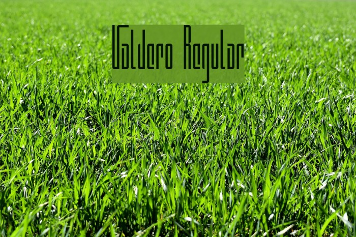 Valdero Regular Font examples