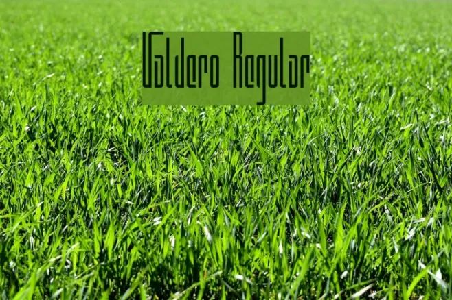 Valdero Regular Example 1