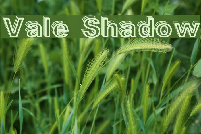 Vale Shadow Font examples
