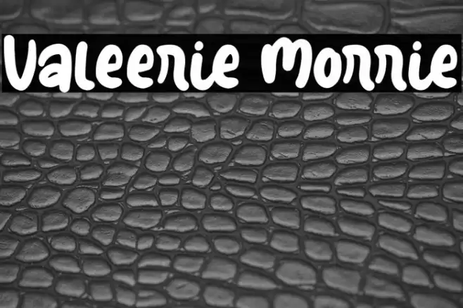 Valeerie Morrie Font examples