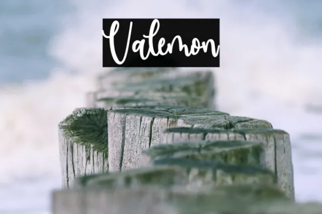 Valemon Example 2