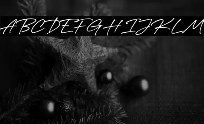 Valen Valentine Script Caratteri examples